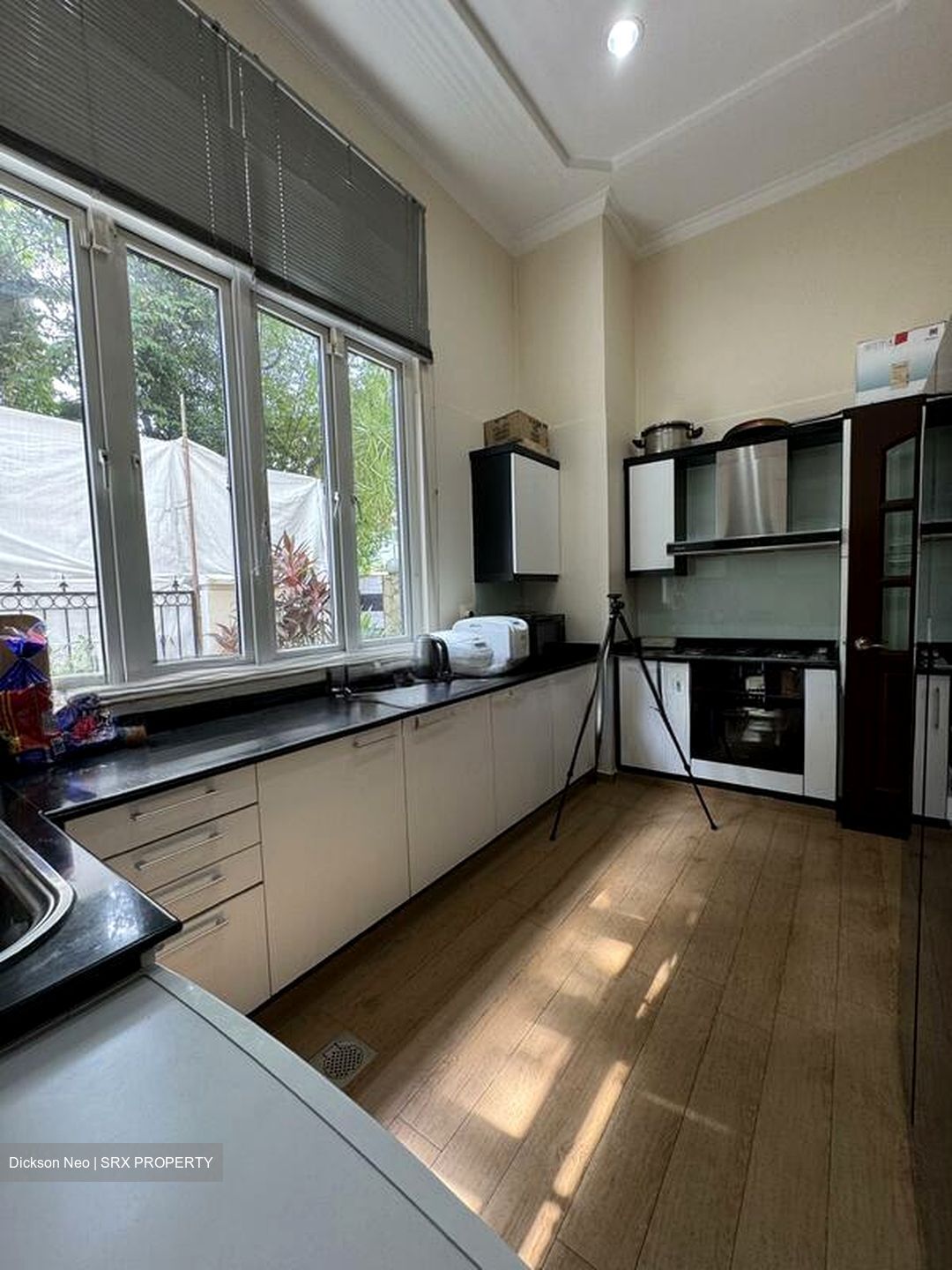 Capitol Park (D11), Detached #535769001